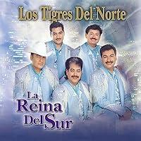 Algopix Similar Product 20 - Reina Del Sur