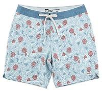 Algopix Similar Product 15 - Salty Crew Eastern Seas Boardshorts