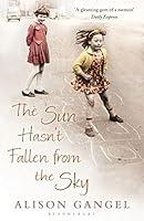 Algopix Similar Product 15 - The Sun Hasn't Fallen From the Sky