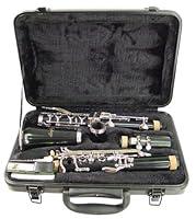 Algopix Similar Product 11 - Hisonic Signature Series 2610 Bb