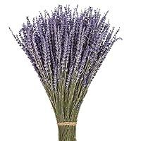 Algopix Similar Product 7 - June Fox Dried Lavender Flowers 270300
