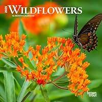 Algopix Similar Product 1 - Wildflowers  2025 7 x 14 Inch Monthly