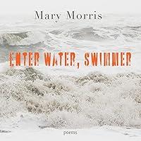 Algopix Similar Product 19 - Enter Water, Swimmer