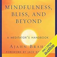 Algopix Similar Product 16 - Mindfulness Bliss and Beyond A