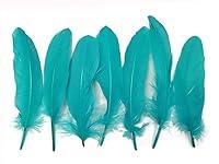 Algopix Similar Product 7 - Moonlight Feather  1 Pack  Peacock