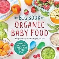 Algopix Similar Product 17 - The Big Book of Organic Baby Food Baby