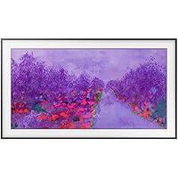 Algopix Similar Product 4 - Samsung UN43LS03NAFXZA 43 Class The