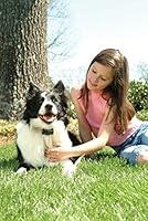 Algopix Similar Product 6 - PetSafe Deluxe Bark Control Collar