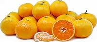 Algopix Similar Product 4 - Fresh Jeju Korean Mandarins Fruit 