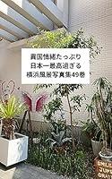 Algopix Similar Product 17 - ikokujouchotattupurinihonichisaikousugil