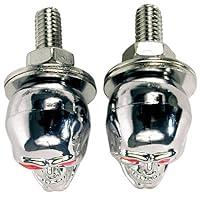 Algopix Similar Product 10 - Custom Accessories 16226 Chrome Skull