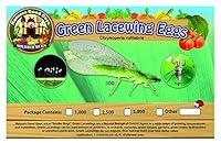 Algopix Similar Product 16 - Green Lacewing 2,500 Eggs - Good Bugs