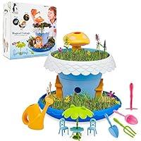 Algopix Similar Product 4 - Fairy Garden Kit DIY Fairy Garden Kit