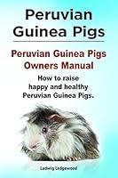 Algopix Similar Product 3 - Peruvian Guinea Pigs Peruvian Guinea