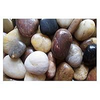 Algopix Similar Product 1 - Exotic Pebbles PM20-1030 Pebbles, Multi