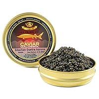 Algopix Similar Product 12 - OLMA Siberaian Osetra Aurora Black