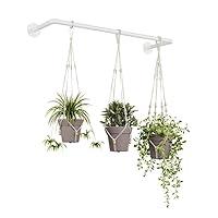 Algopix Similar Product 5 - Bamworld 3PCS Macrame Rops with Plant