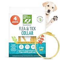 Algopix Similar Product 3 - Only Natural Pet EasyDefense Flea 