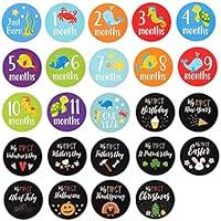 Algopix Similar Product 13 - Baby Milestone Stickers  24Count
