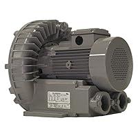 Algopix Similar Product 18 - Regenerative Blower, 173 CFM, 230/460V