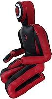 Algopix Similar Product 4 - CBC MMA BJJ Jiu Jitsu Grapple Dummy 20