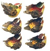 Algopix Similar Product 13 - Factory Direct Craft Assorted