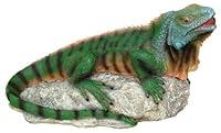 Algopix Similar Product 15 - Design Toscano EU9316 Ike The Iguana