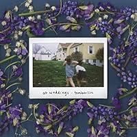 Algopix Similar Product 11 - At Weddings [VINYL]