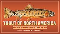 Algopix Similar Product 3 - Trout of North America Wall Calendar