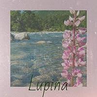 Algopix Similar Product 20 - Lupina
