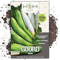 Algopix Similar Product 7 - Seed Needs 200 LoofahLuffa Gourd