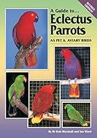 Algopix Similar Product 7 - A Guide to Eclectus Parrots as Pet and