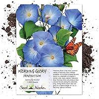 Algopix Similar Product 19 - Seed Needs 1000 Heavenly Blue