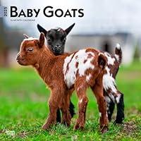 Algopix Similar Product 2 - Baby Goats 2025 12 X 24 Inch Monthly