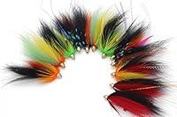 Algopix Similar Product 4 - Tigofly 12 pcs Cone Head Tube Fly for