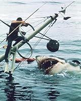Algopix Similar Product 18 - Jaws 8x10 Promotional Photograph Roy