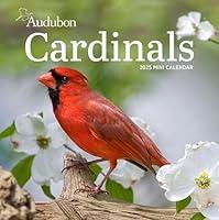 Algopix Similar Product 17 - Audubon Cardinals Mini Wall Calendar