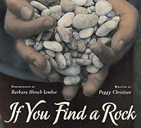Algopix Similar Product 17 - If You Find a Rock
