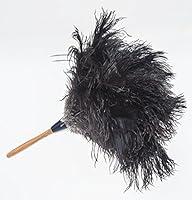 Algopix Similar Product 9 - GM Royal Ostrich Feather Duster Small
