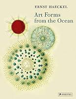 Algopix Similar Product 7 - Art Forms from the Ocean The