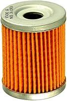 Algopix Similar Product 3 - FRAM CH6066 Oil Filter for Motorcycles