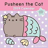 Algopix Similar Product 7 - Pusheen the Cat 2019 Wall Calendar