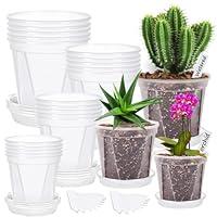 Algopix Similar Product 1 - 20Pack 4567 inch Clear Nursery Pots