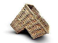 Algopix Similar Product 7 - Trademark Innovations 13 Braided Rope