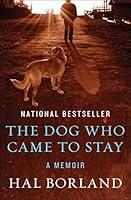 Algopix Similar Product 4 - The Dog Who Came to Stay: A Memoir