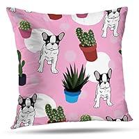 Algopix Similar Product 15 - ONELZ Dachshund Cactus Cute Dog Square