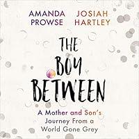 Algopix Similar Product 8 - The Boy Between A Mother and Sons