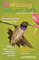 Algopix Similar Product 7 - Watching Backyard Birds Newsletter