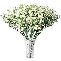 Algopix Similar Product 9 - Dried Flowers Babies Breath Flowers
