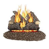 Algopix Similar Product 4 - Pleasant Hearth VentFree Gas Log Set